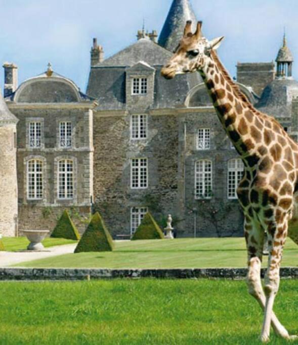 La Vallee Appartement Proche Du Mont Saint Michel Roz-sur-Couesnon Exterior foto